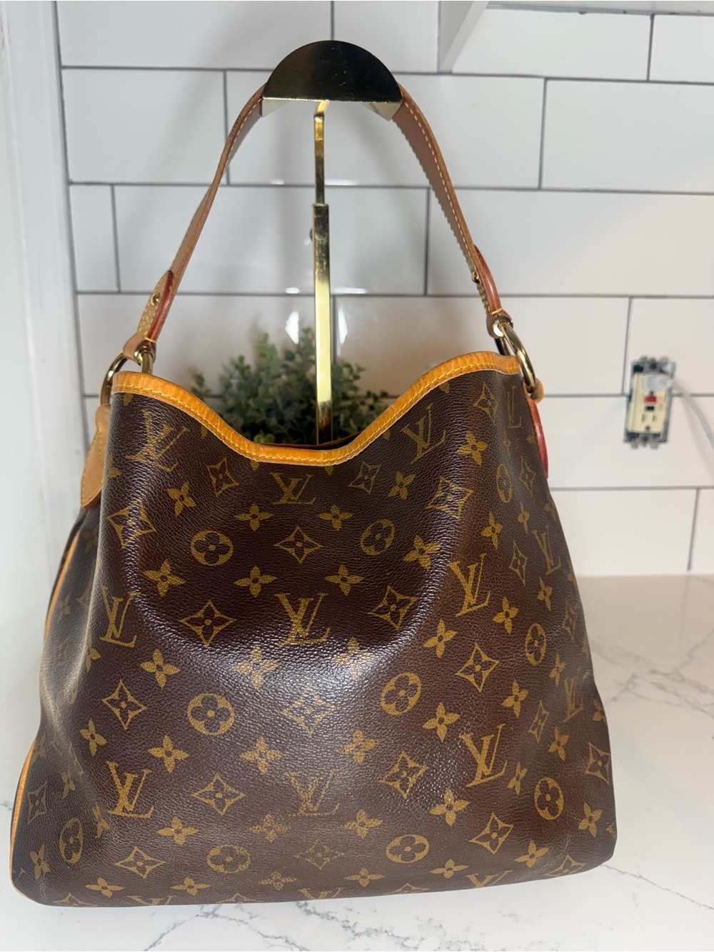 Louis Vuitton Delightful PM - Monogram Canvas - Picture 2 of 15